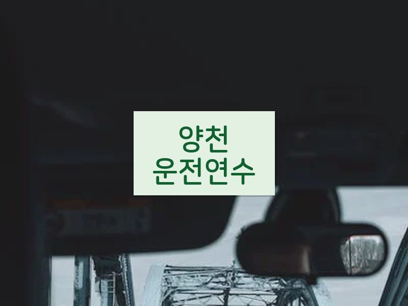 양천운전연수 후기