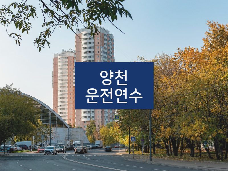 양천운전연수 후기
