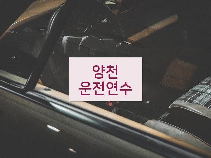 양천운전연수 후기