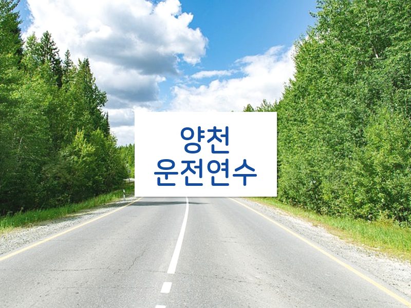 양천운전연수 후기