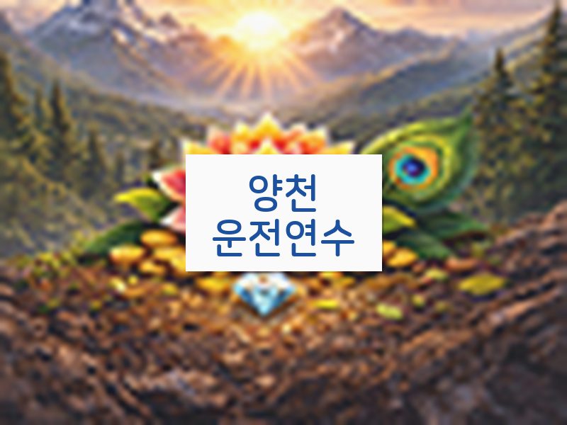 양천운전연수 후기