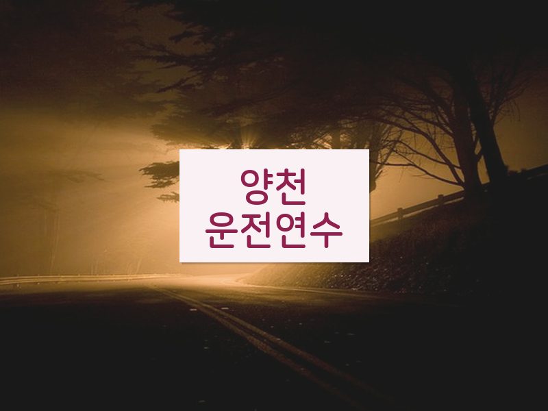 양천운전연수 후기
