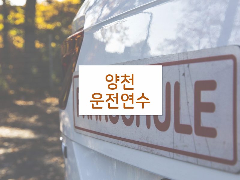양천운전연수 후기