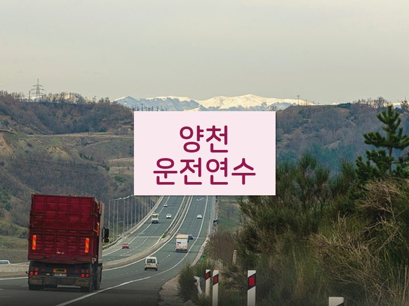양천운전연수 후기