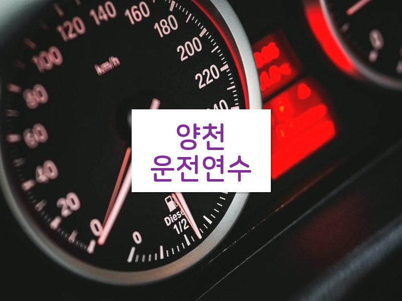 양천운전연수 후기