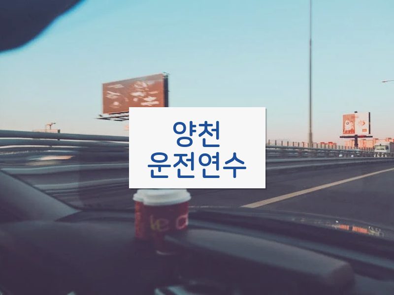 양천운전연수 후기