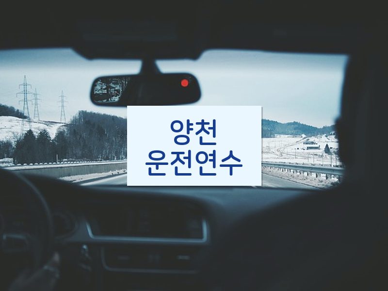양천운전연수 후기