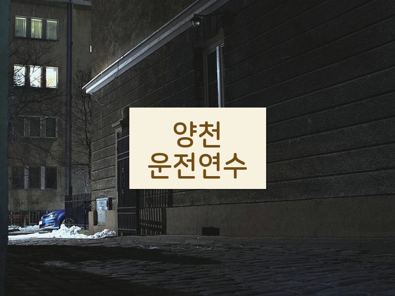 양천운전연수 후기