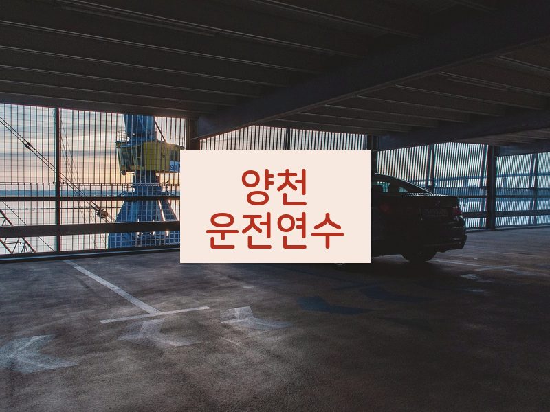 양천운전연수 후기