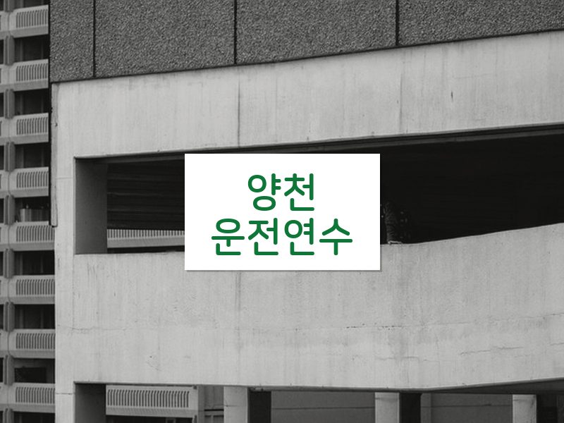 양천운전연수 후기