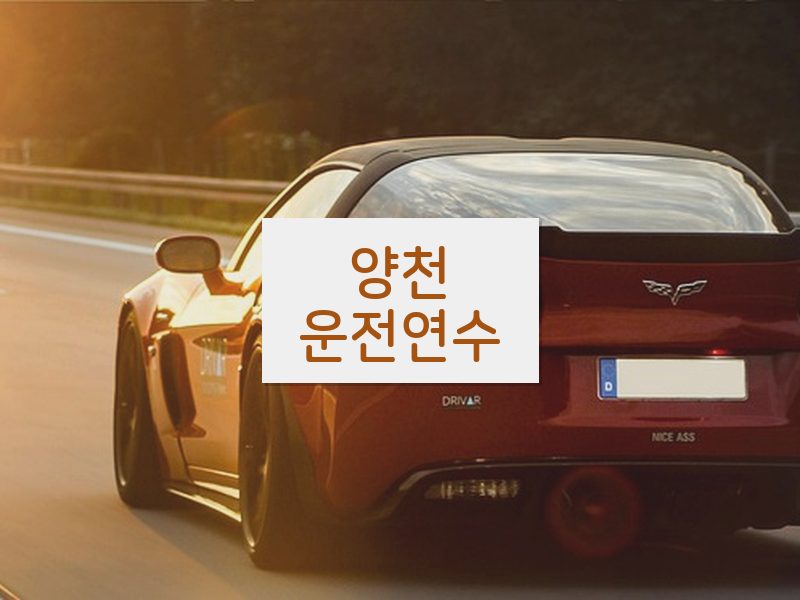 양천운전연수 후기