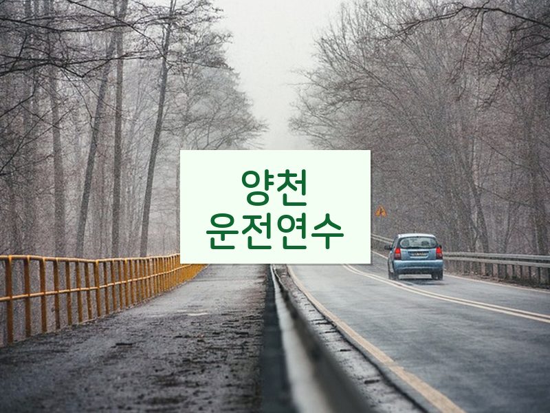 양천운전연수 후기