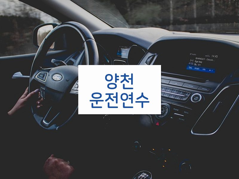 양천운전연수 후기