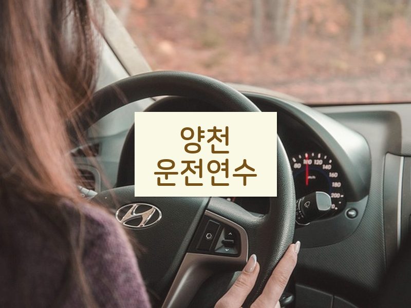양천운전연수 후기