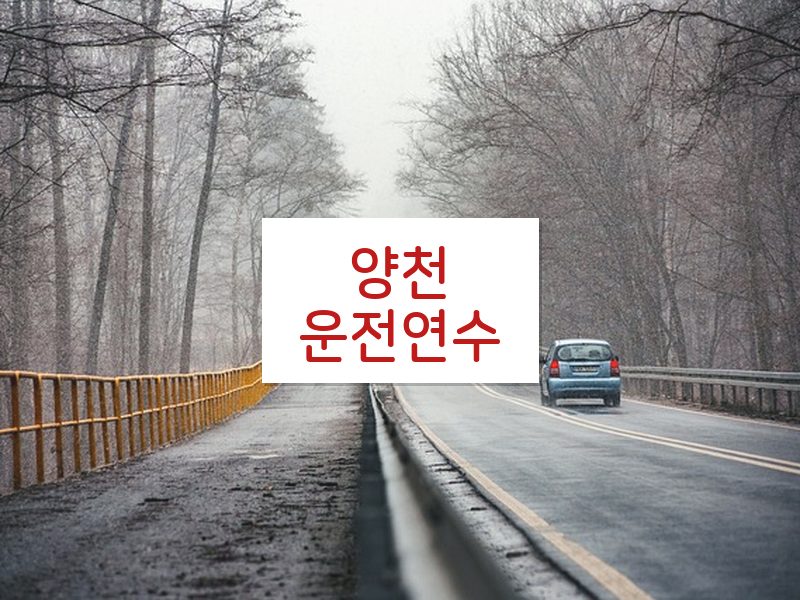 양천운전연수 후기