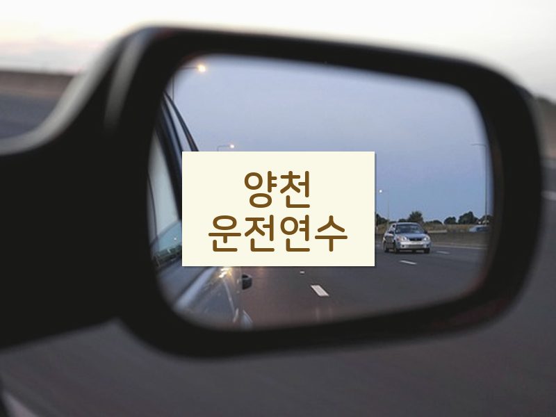 양천운전연수 후기