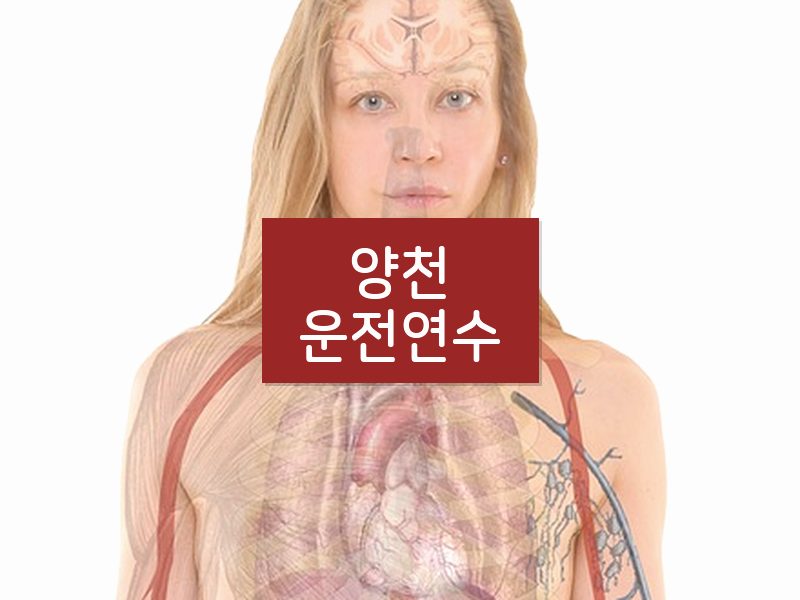 양천운전연수 후기