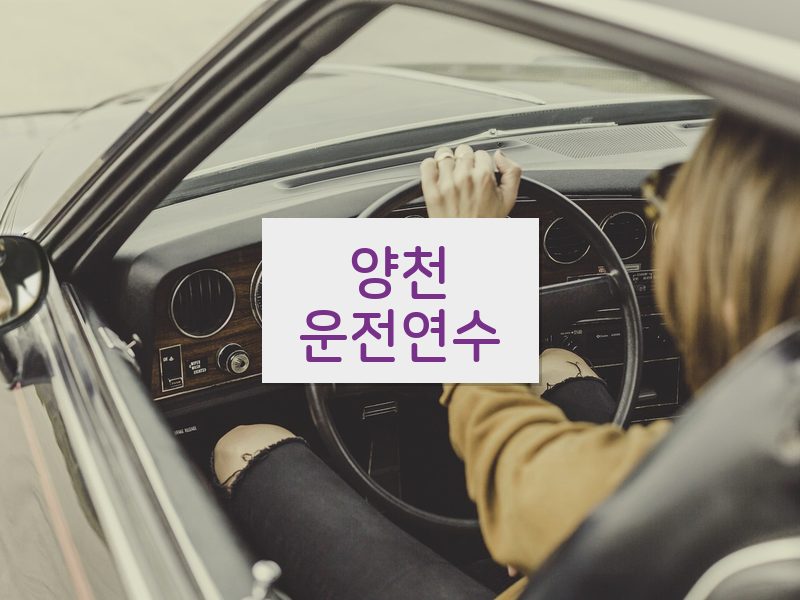 양천운전연수 후기