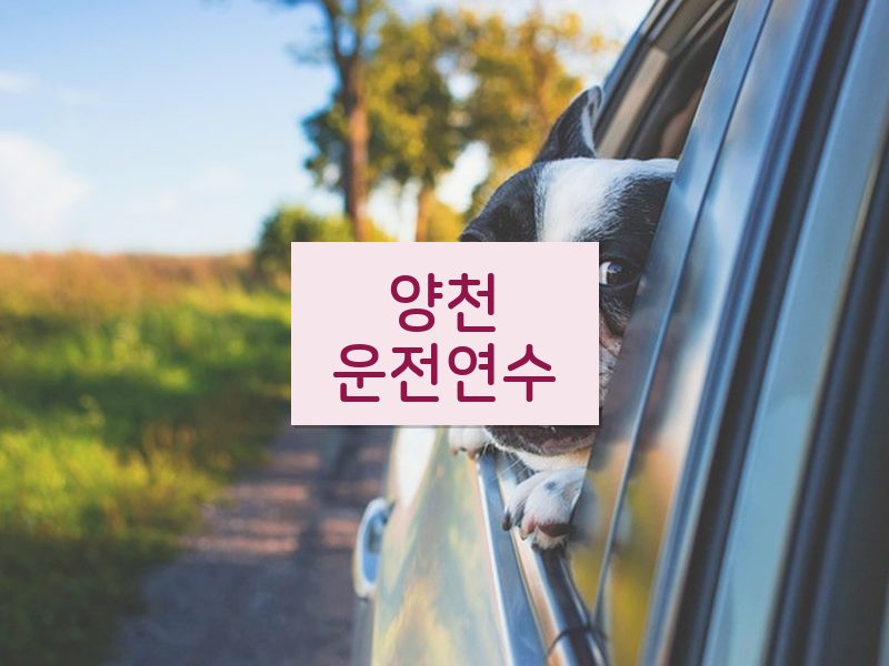 양천운전연수 후기