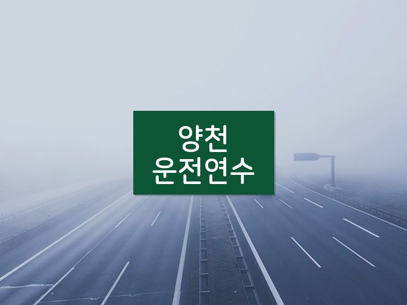 양천운전연수 후기