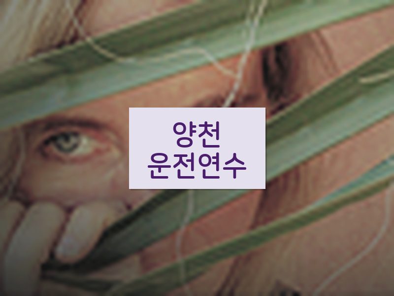 양천운전연수 후기