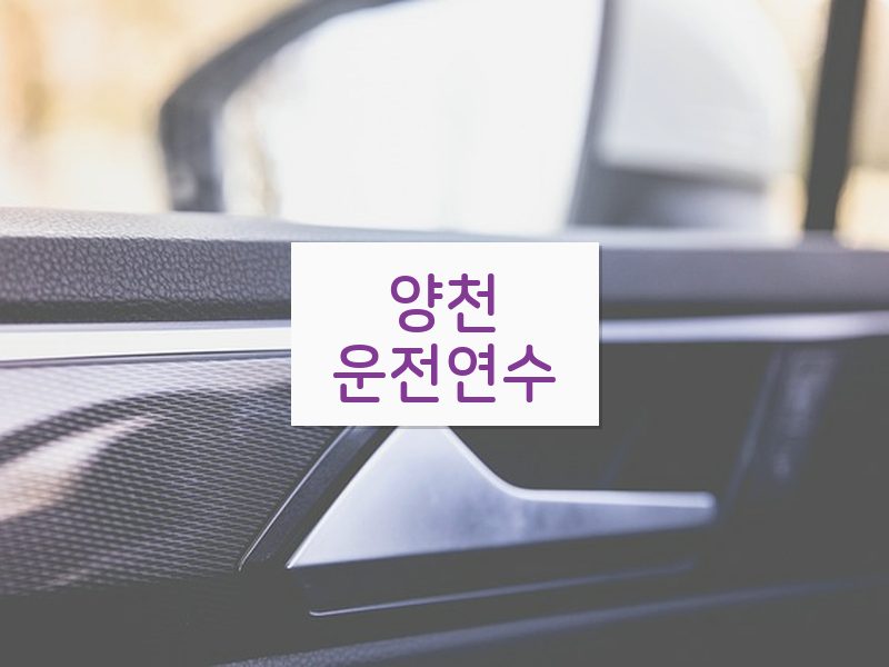 양천운전연수 후기