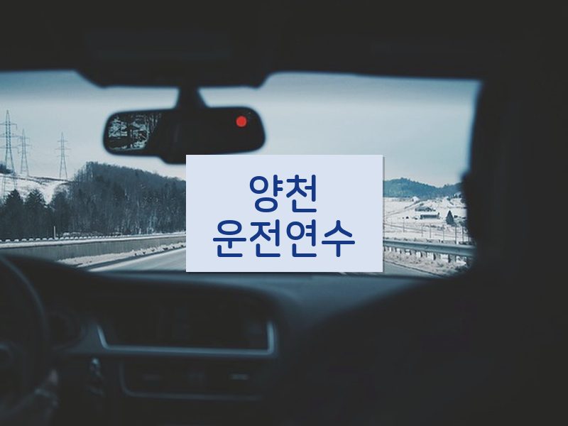 양천운전연수 후기