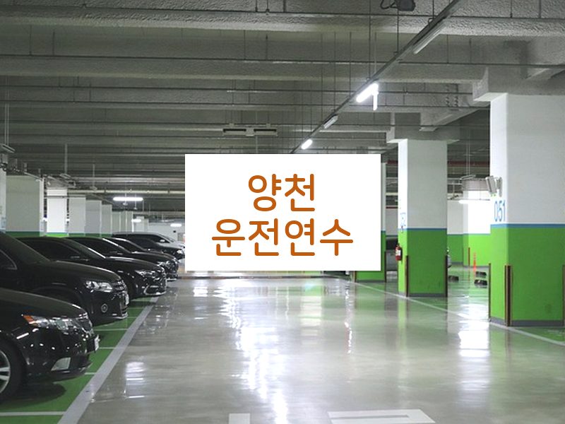 양천운전연수 후기