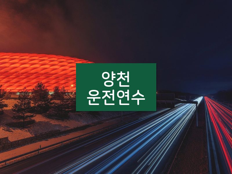양천운전연수 후기