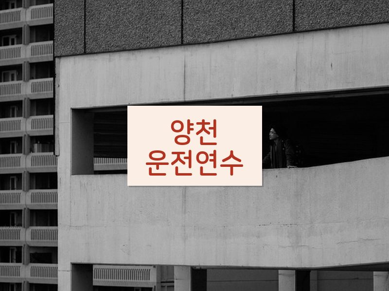 양천운전연수 후기