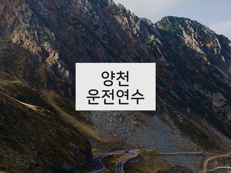 양천운전연수 후기