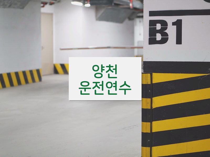 양천운전연수 후기
