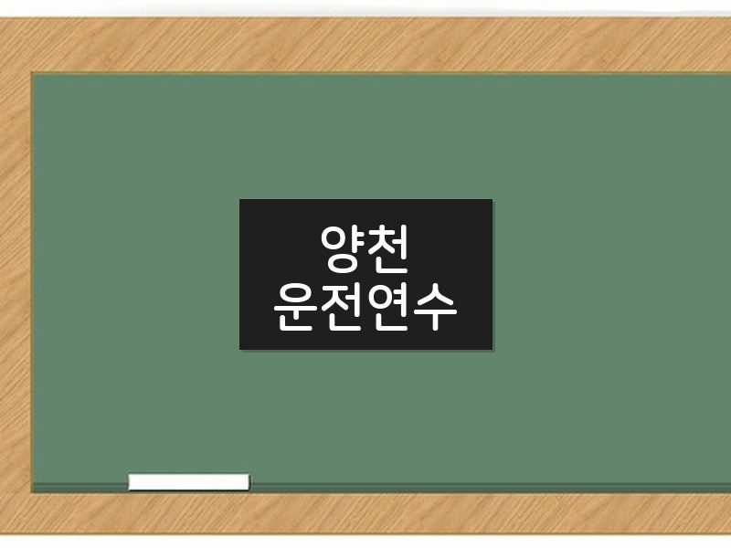 양천운전연수 후기