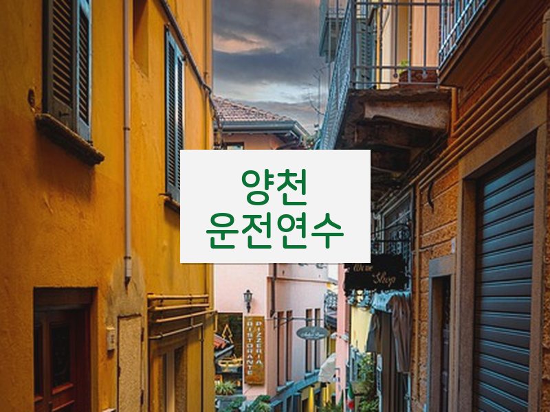 양천운전연수 후기