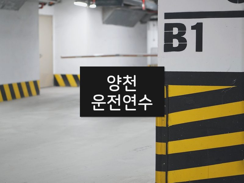 양천운전연수 후기