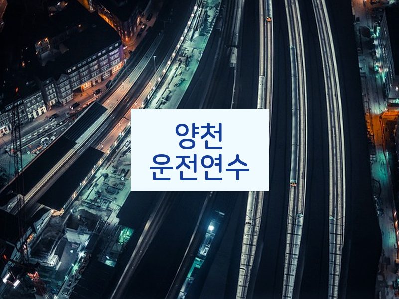 양천운전연수 후기