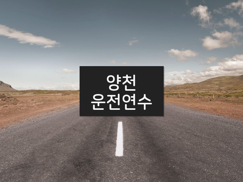 양천운전연수 후기