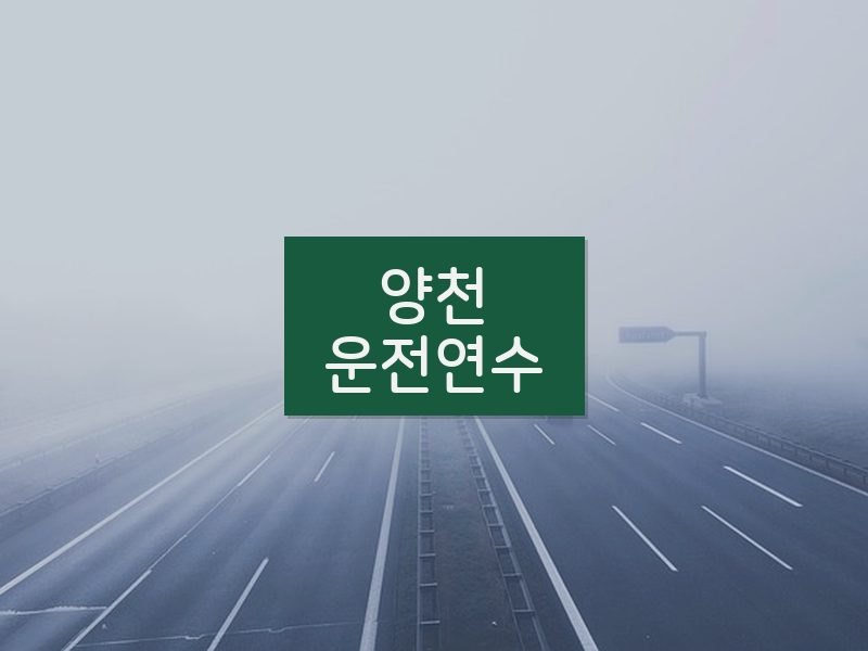 양천운전연수 후기