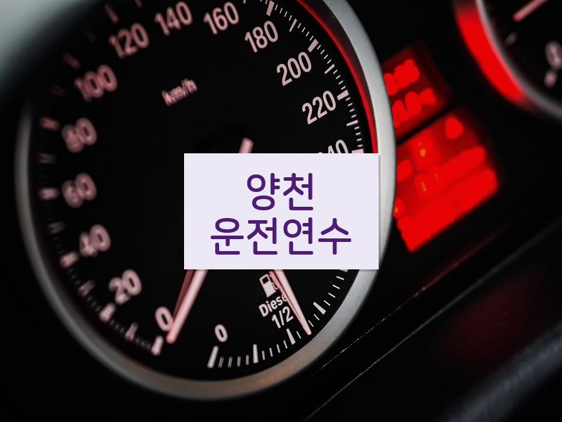 양천운전연수 후기