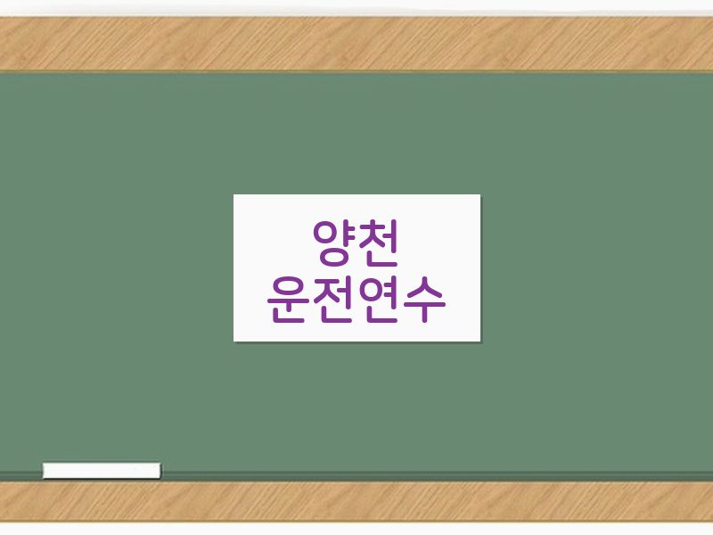 양천운전연수 후기