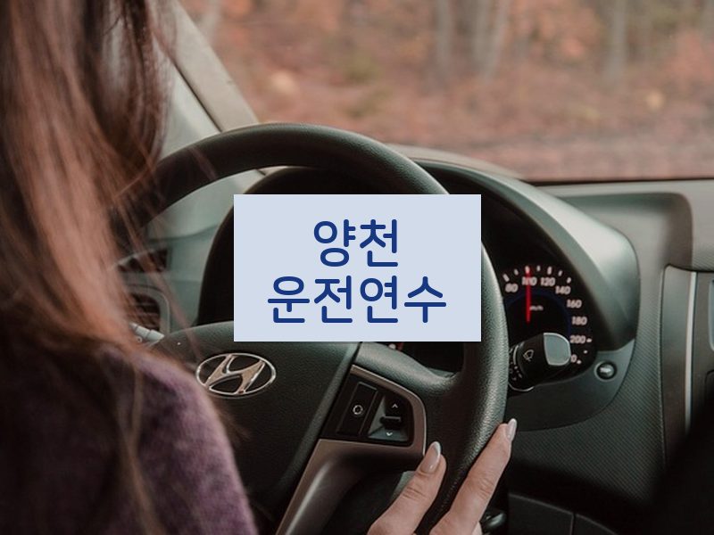 양천운전연수 후기