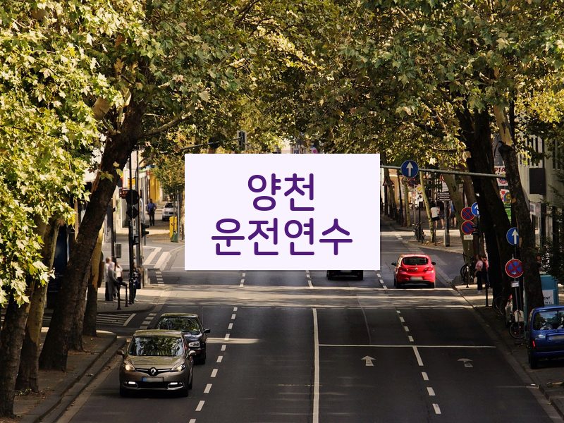 양천운전연수 후기
