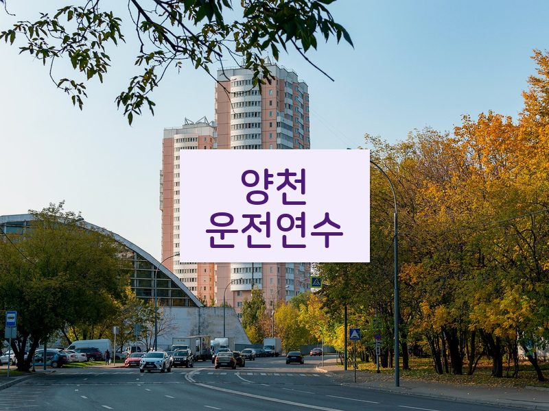 양천운전연수 후기