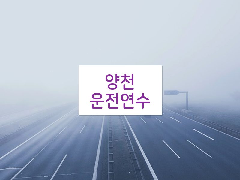 양천운전연수 후기