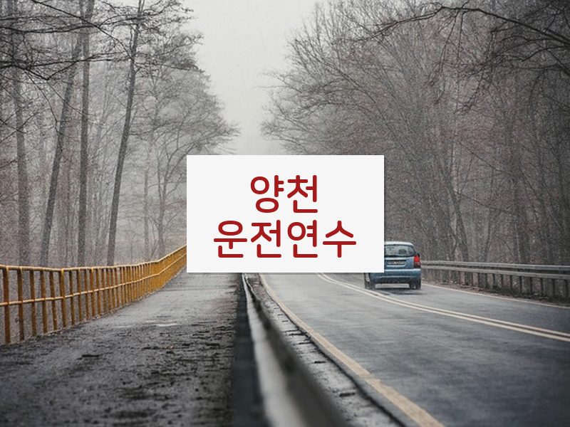 양천운전연수 후기