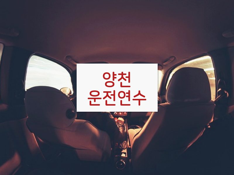 양천운전연수 후기