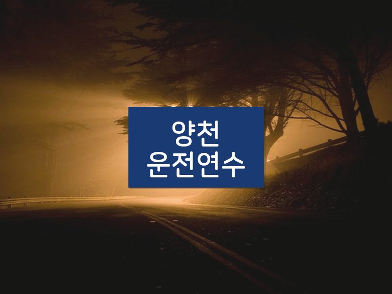 양천운전연수 후기
