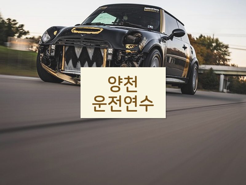 양천운전연수 후기