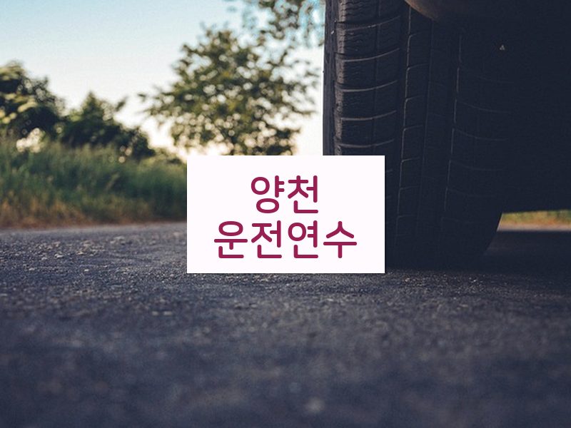 양천운전연수 후기
