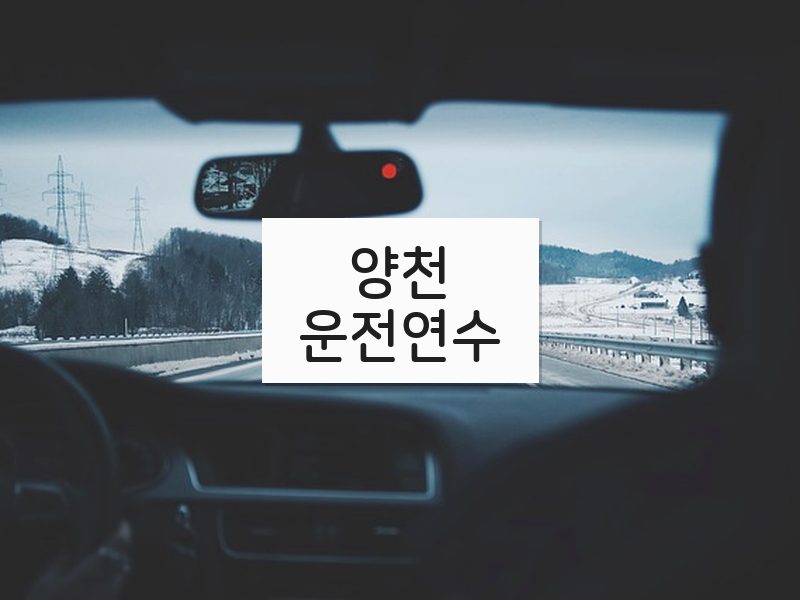 양천운전연수 후기